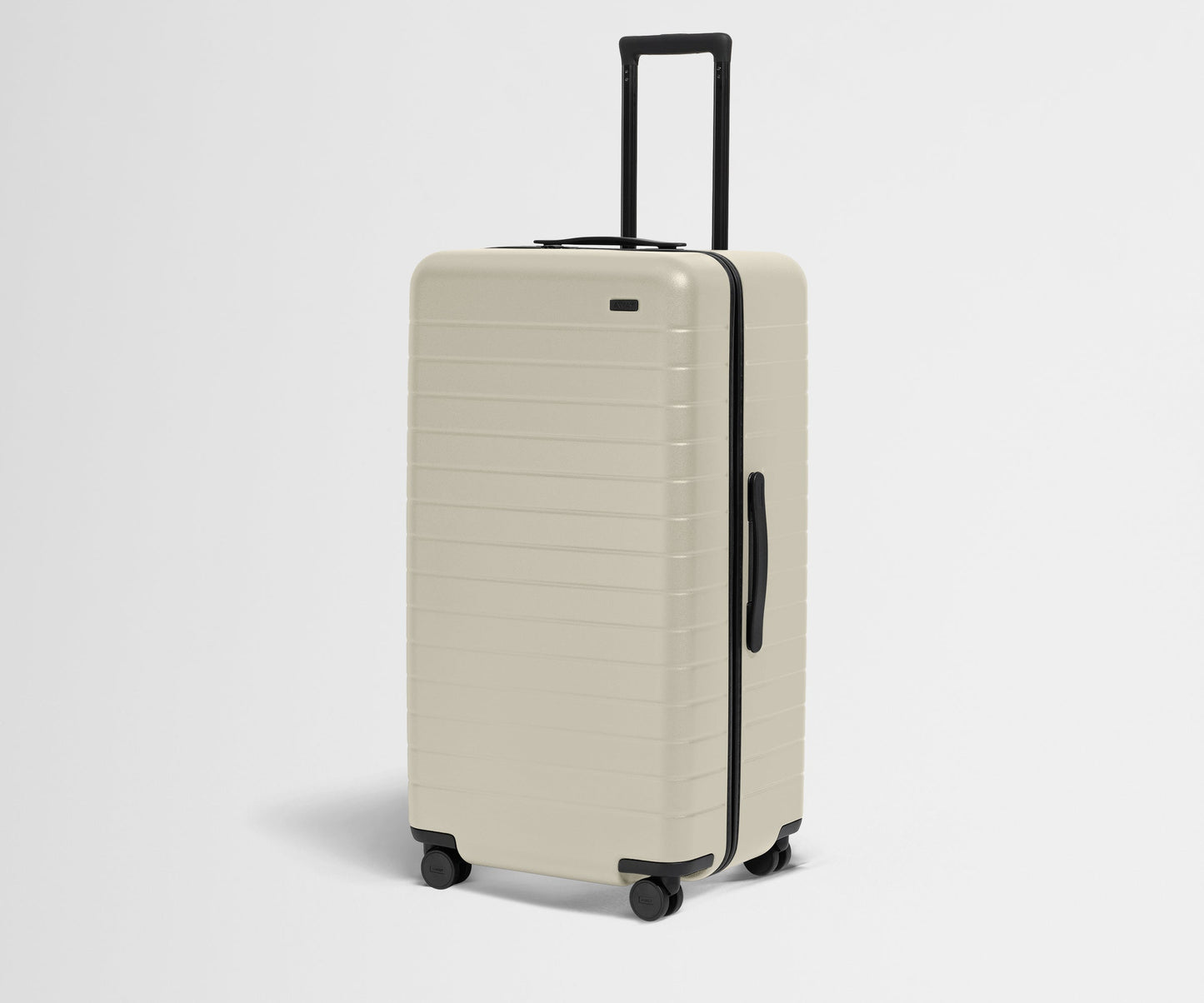 The Trunk in Salt White