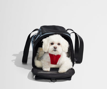 The Pet Carrier in Coast Blue